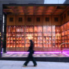 Cabinet of Curiosities