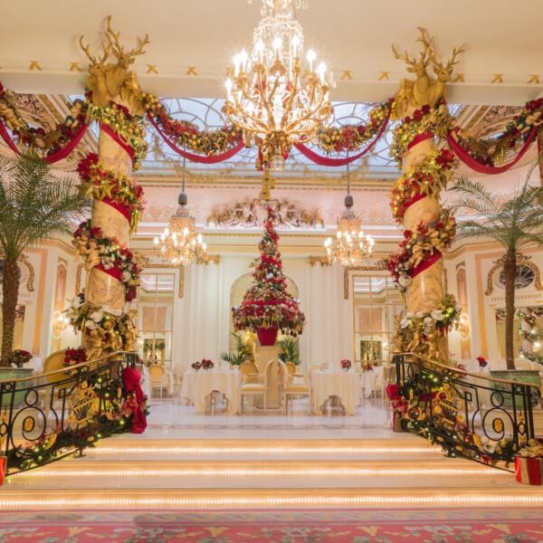 Christmas Afternoon Tea