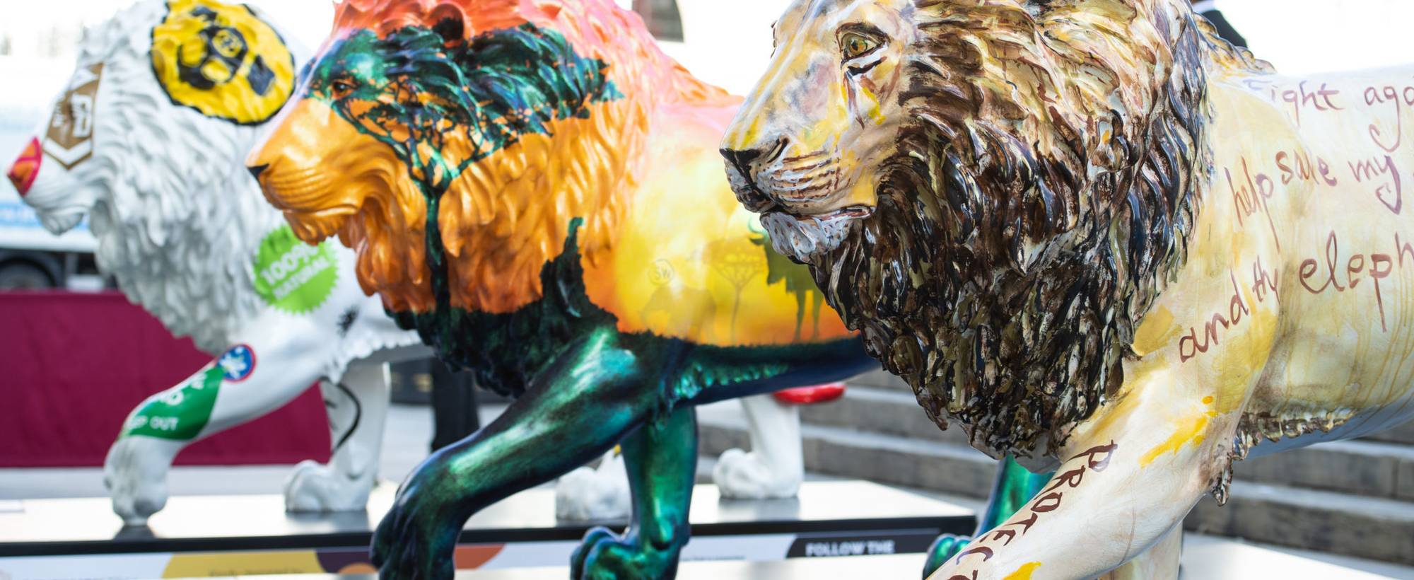 Tusk Lion Trail 2 Jeff Spicer Getty