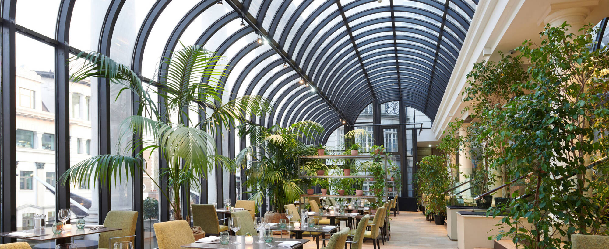Terrace at The Dilly