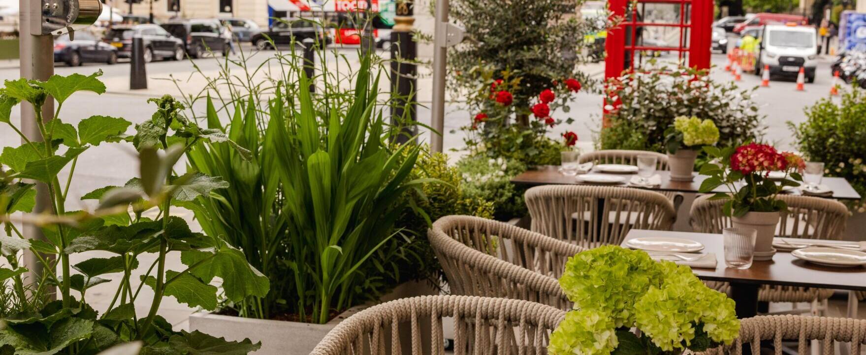 Claro Mediterranean Terrace Portrait Joe Howard June 2025 Claro London