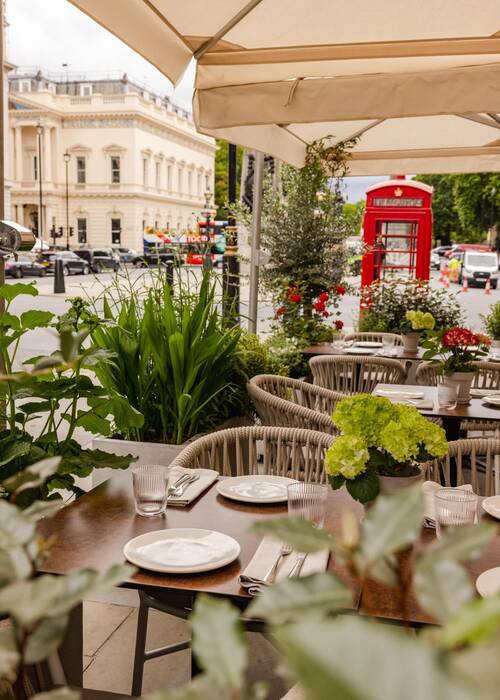 Claro Mediterranean Terrace Portrait Joe Howard June 2025 Claro London